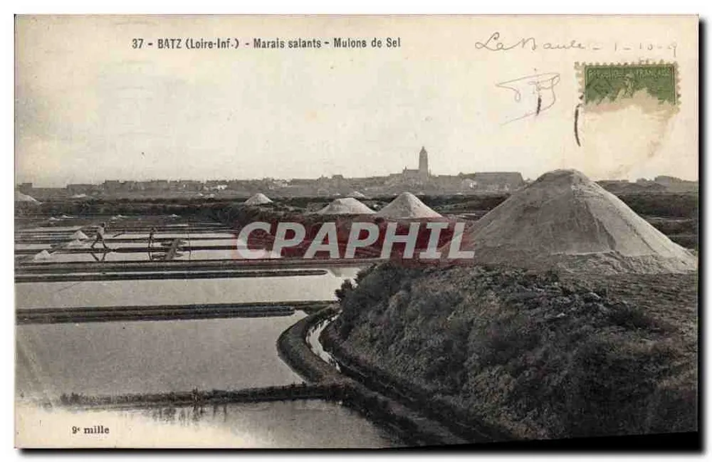 Batz (Loire-Inf.) - Pântanos salinos - Pilhas de sal - Frente