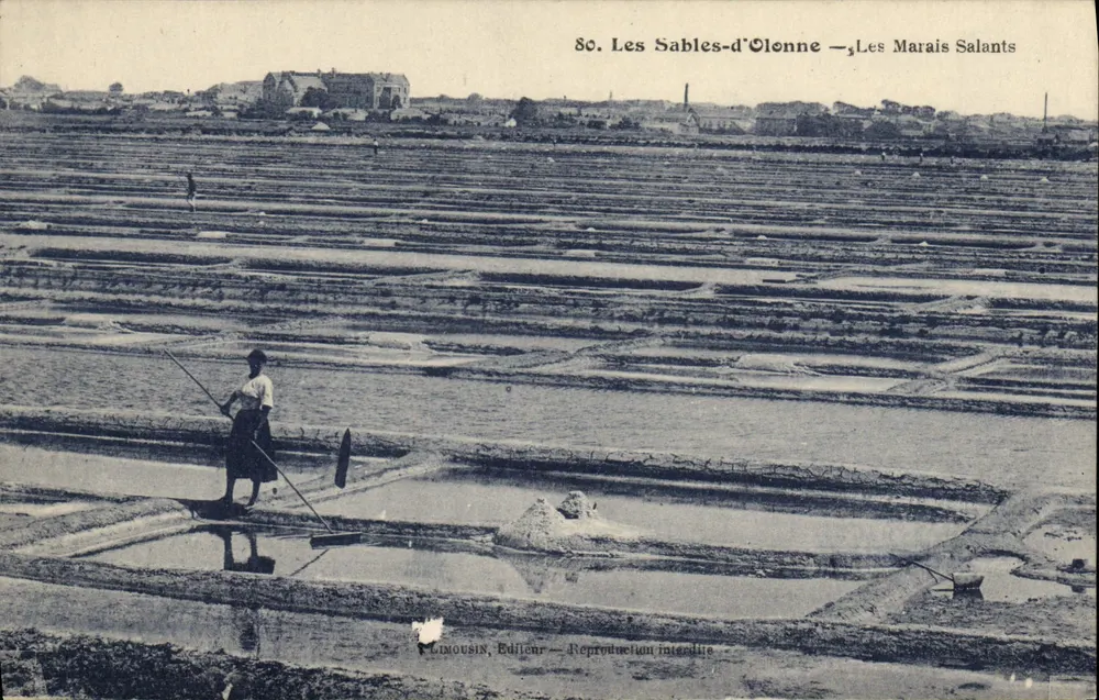 Les Sables-d'Olonne — Os Marais Salants — Editor Limousin, n° 80 - Frente