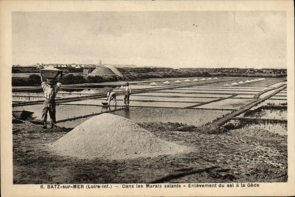 Batz-sur-Mer (Loire-Inf.) — Blick auf die Salzseen — Salzabfuhr an der Gède - Vorderseite