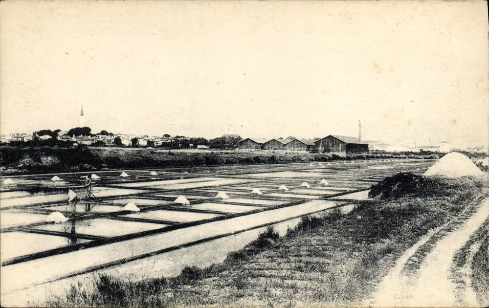 Ilha-de-Ré - Ars — Os Marais salants - Frente