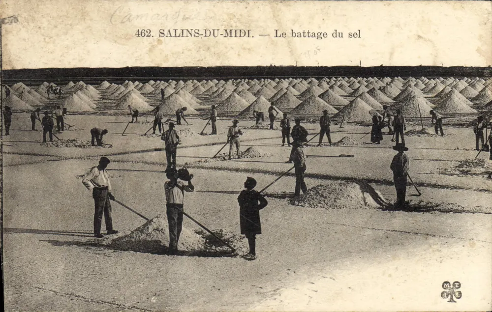 Salins-du-Midi — Ansicht des Salzschlagens — Camanda, n° 462 - Vorderseite