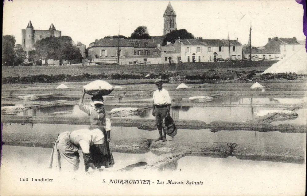 S. NOIRMOUTIER - Os Marais Salants — Coll Landivier - Frente