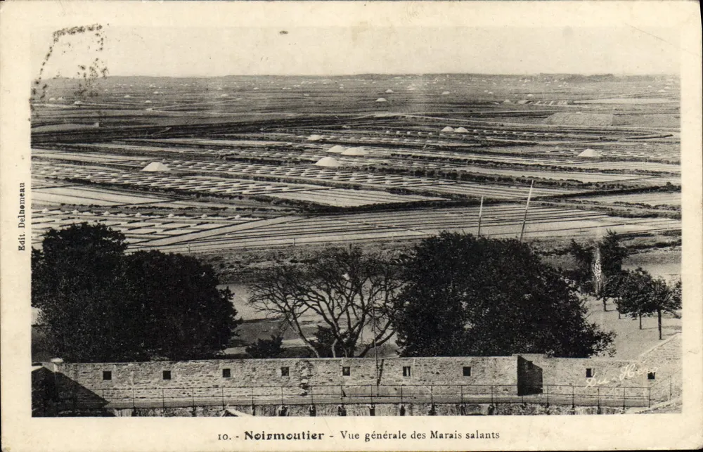 Noizmoutier — Allgemeiner Blick auf die Salzseen — Edit. Delhommeau, n°10 - Vorderseite