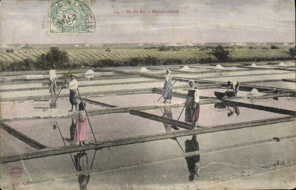 Ilha de Ré - Marais salant — cliché D. P. — editor Clihété D. P. - Frente