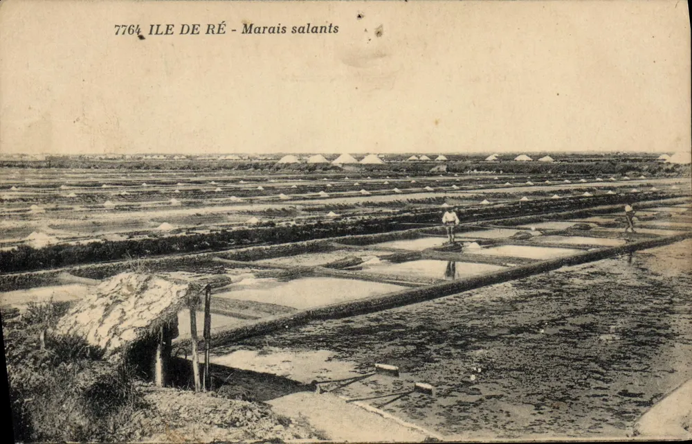 Ilha de Ré - Pântanos Salgados — vista dos lagos salinos com trabalhadores — editor não identificado, n° 7764 - Frente