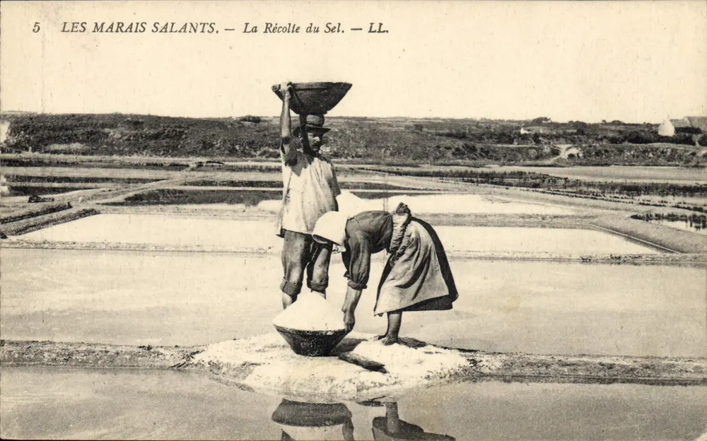 Os Marais Salants — A Colheita do Sal — LL. - Frente