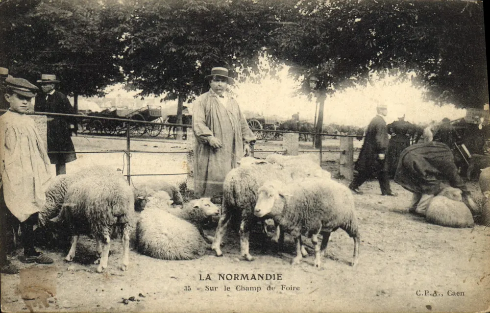 A Normandia — No Campo de Feira — Bilhete postal antigo, Caen - Frente