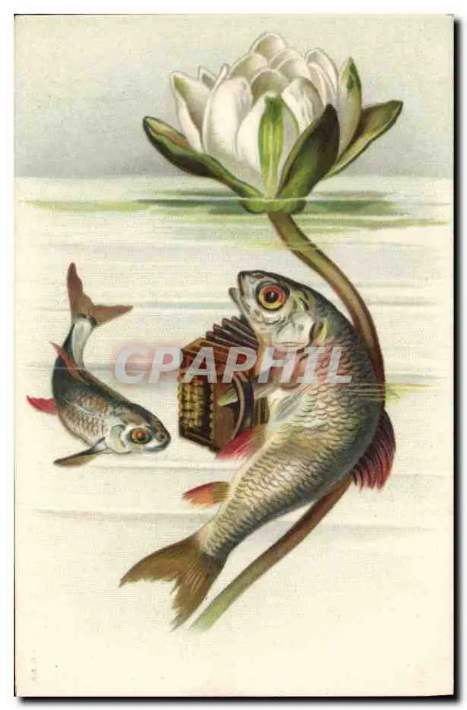 Peixes e flor de lótus — ilustração naturalista — editor não identificado - Frente
