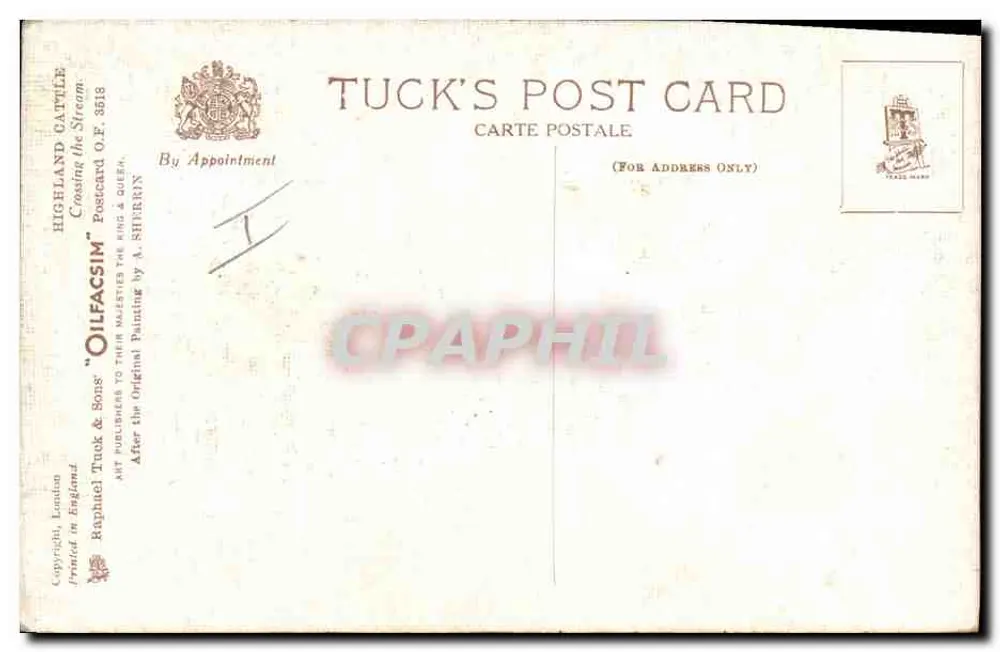 Vacas Highland — Cruzando o Rio — Cartão Postal Tuck n° 3513 - Verso