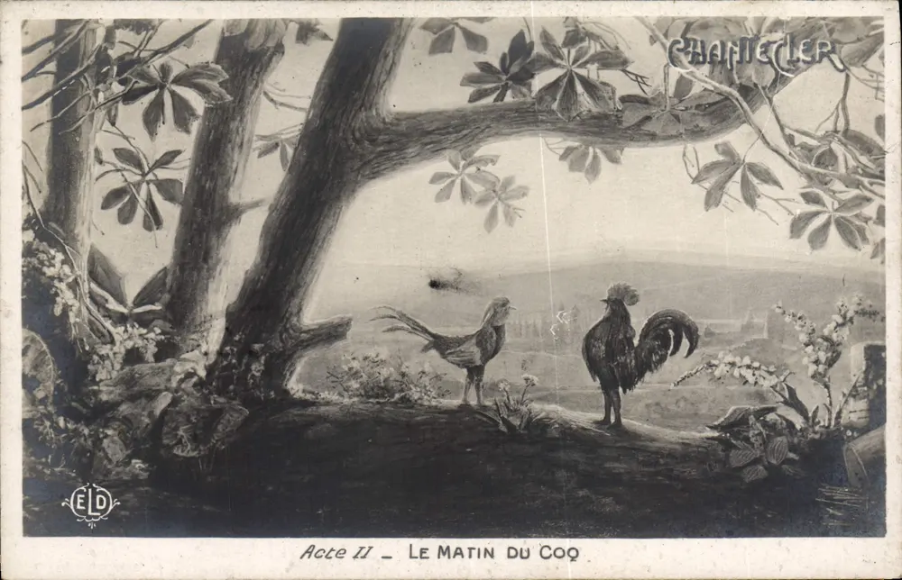 Der Morgen des Hahns — Akt II — Chantecler - Vorderseite