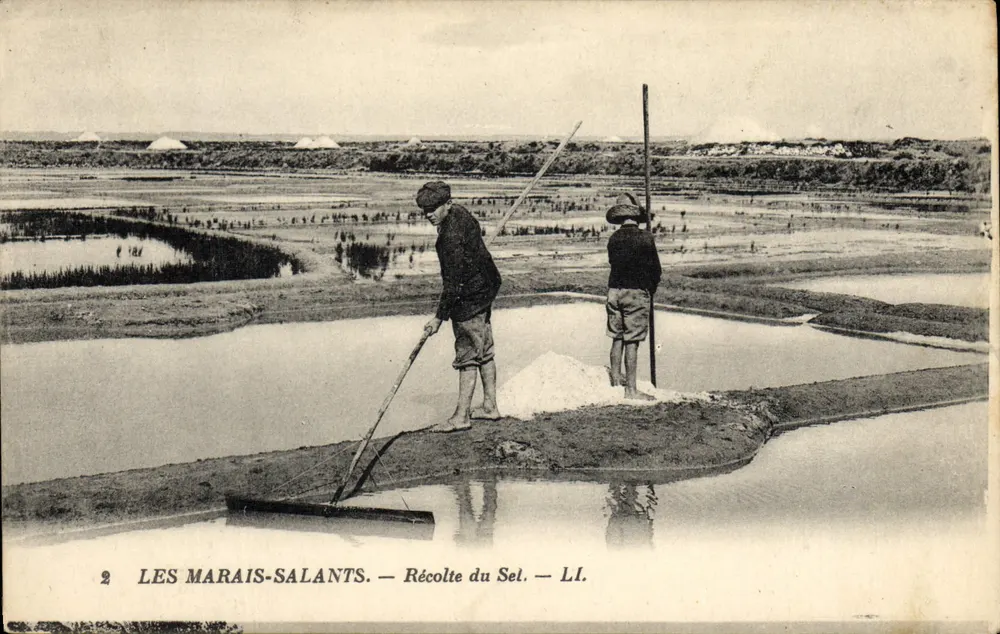 Les Marais-Salants — Récolte du Sel — LI. - Voorkant