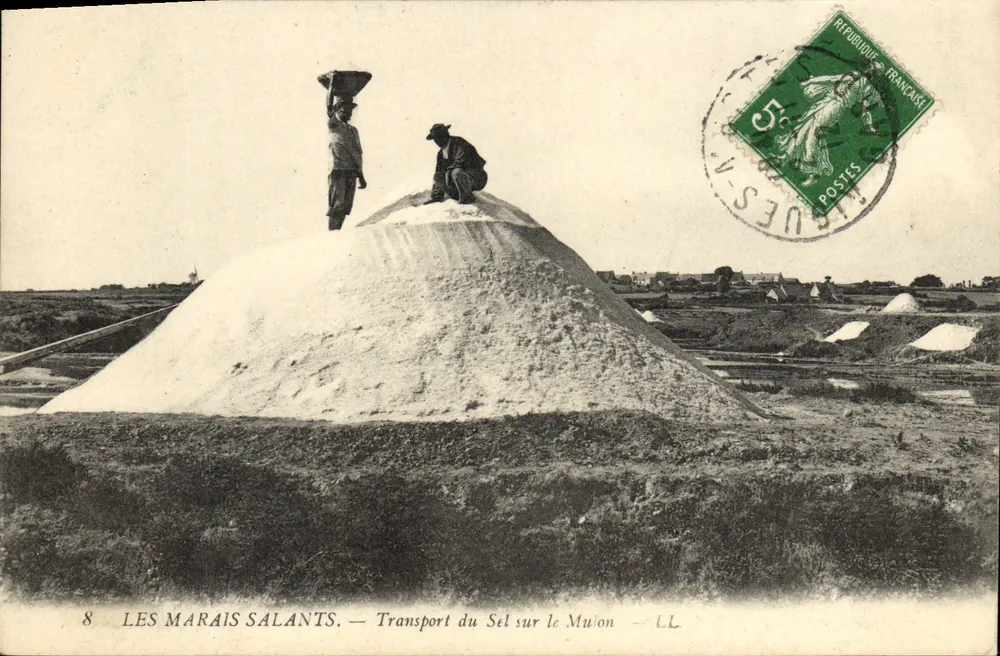 Die Salzseen — Transport des Salzes auf dem Muion — LL - Vorderseite