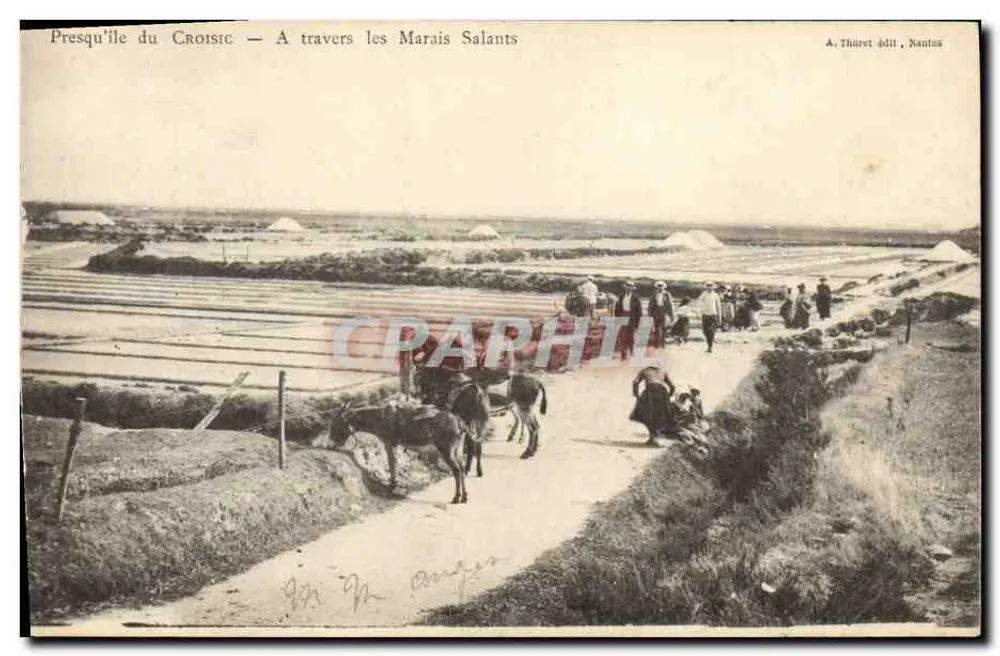Presqu'île du Croisic — Durch die Salzseen — Verlag A. Thuret, Nantes - Vorderseite