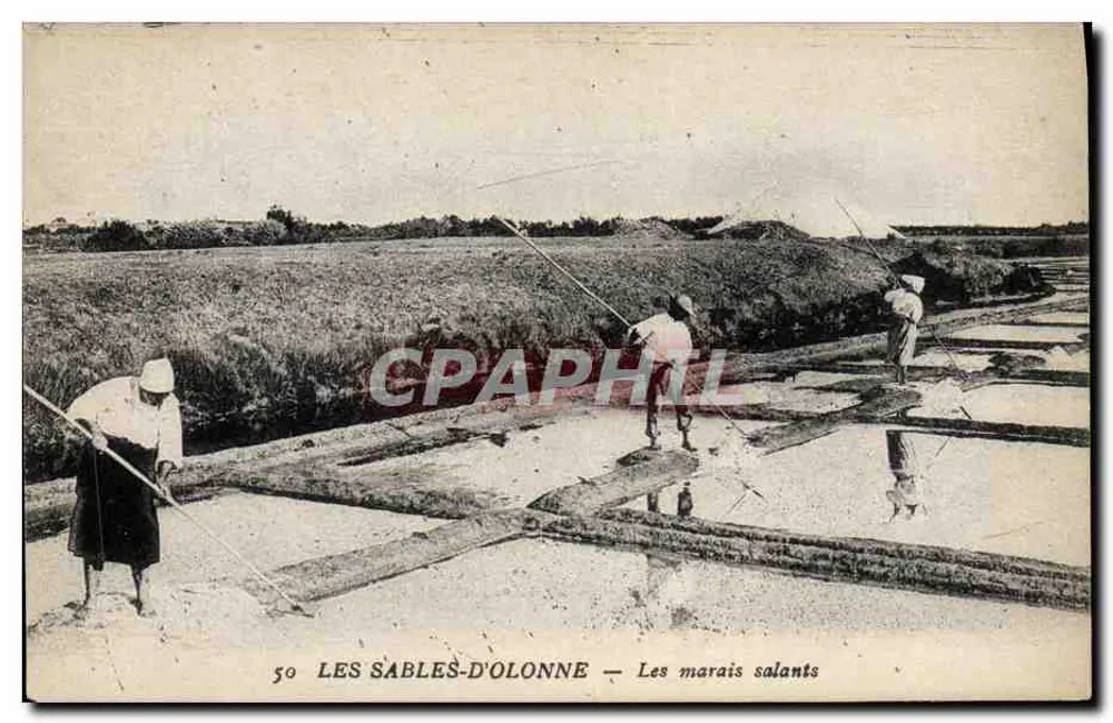 Les Sables-d'Olonne — Os marais salants — n°50 - Frente
