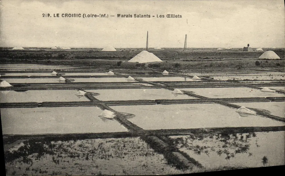 Le Croisic (Loire-Inf.) — Marais Salants - Les Ellettes — F. Chapeau, Nantes - Frente
