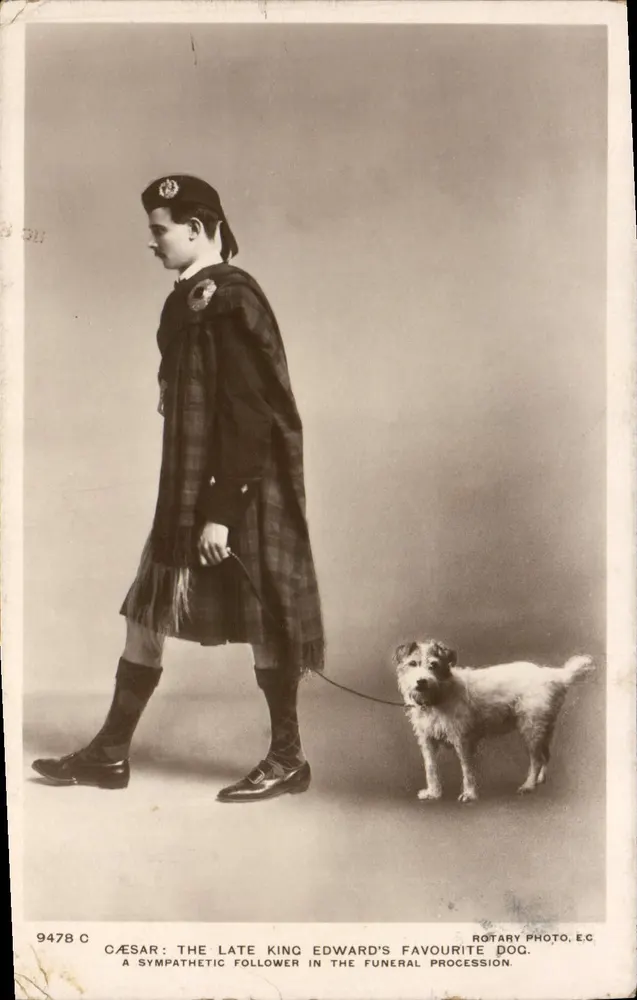Caesar, le chien préféré du défunt roi Edward — en tenue de kilt, accompagné d'un jeune homme — éditeur ROTARY PHOTO. E.C. n° 9478 C - Vorderseite
