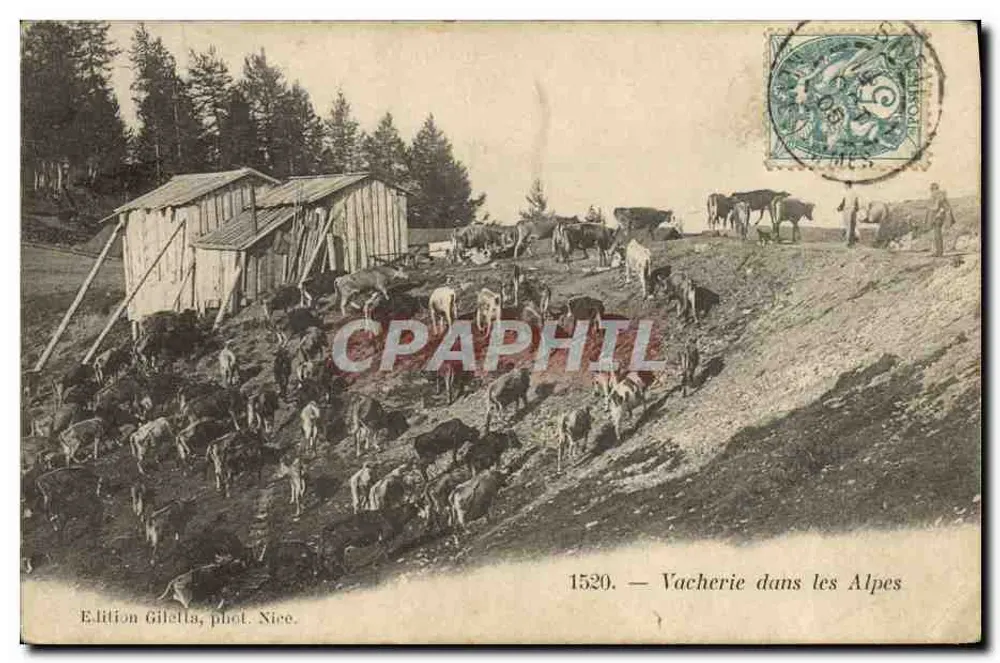 Schäferei in den Alpen — Ausgabe Gilelta, Foto von Nice, Nr. 1520 - Vorderseite