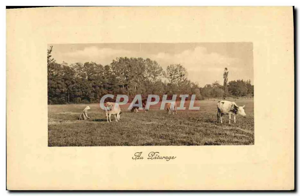 Al Pâturage — landschapsbeeld met koeien — uitgever niet geïdentificeerd - Voorkant