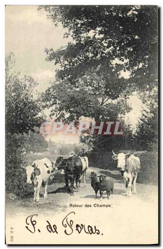 Terugkeer van de Velden — F. de Foras - Voorkant