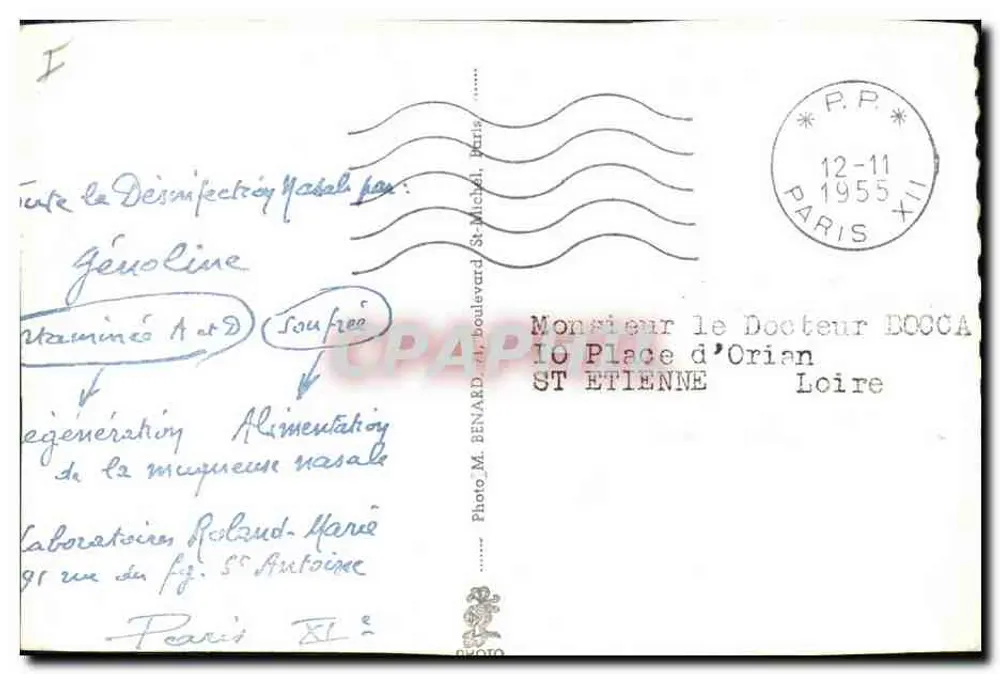 Bœuf à cornes — Cameroun — Postes Cameroun - Verso