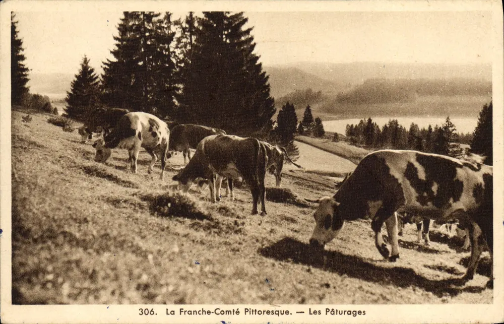 La Franche-Comté Pittoresque — De Weiden — Uitgever E. Prost, n° 306 - Voorkant
