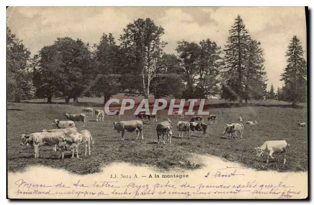 पहाड़ पर — J.J. 3014 A — एडिटर J.J. 3014 A - आगे