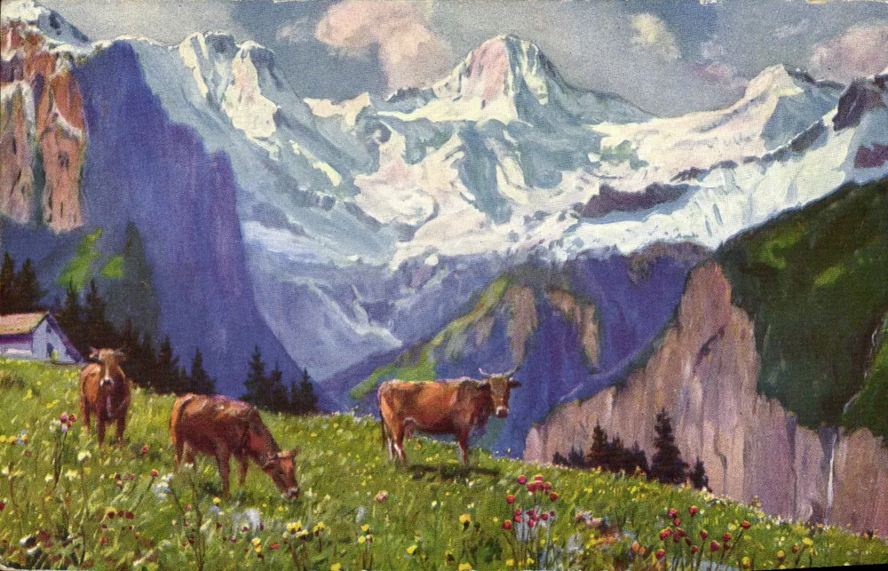 Pomares alpinos — vacas e montanhas nevadas — KEB, n° 62 - Frente