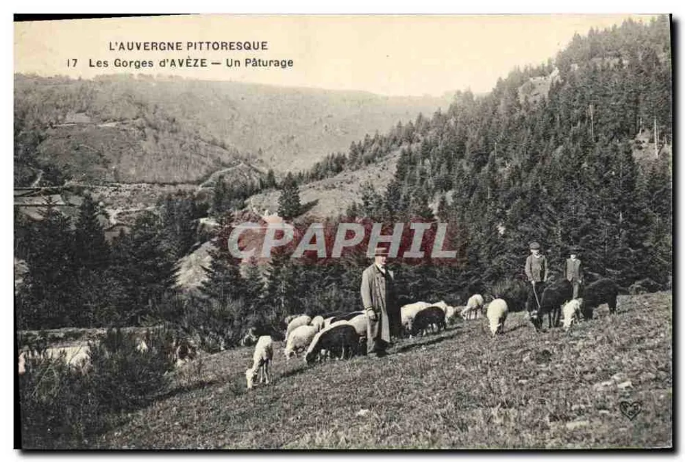 Die Schluchten von Avéze — Ein Weideland — Das pittoreske Auvergne - Vorderseite