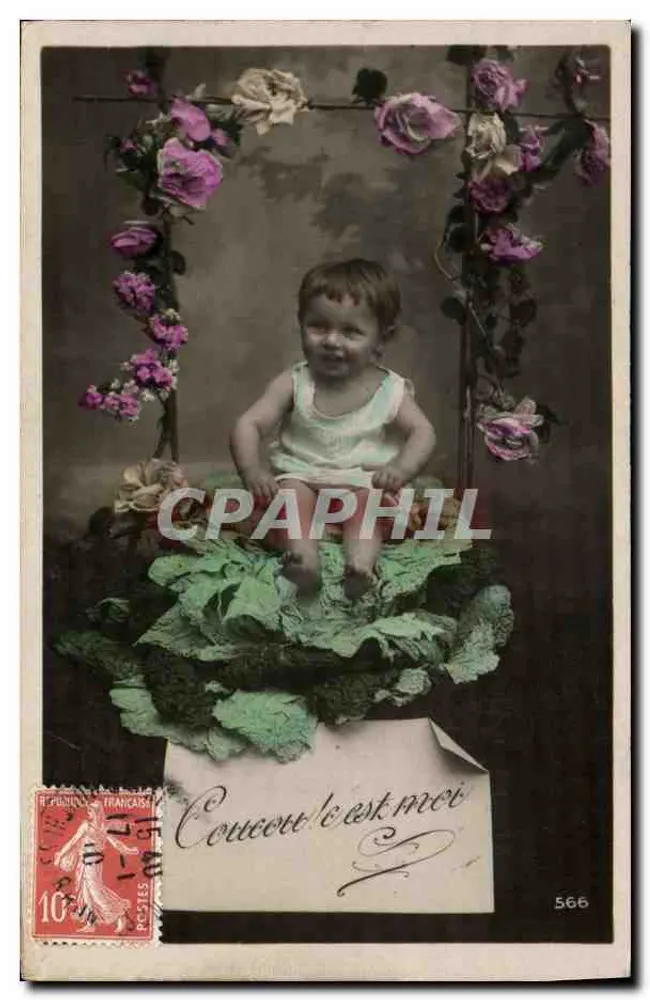 Niño sentado sobre hojas — decorado de rosas — editor 'C. L.' n° 566 - Anverso