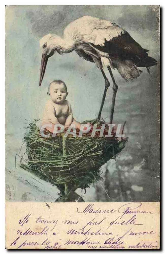 Vogel und Baby — Storch und Säugling in einem Nest — unbekannter Verleger - Vorderseite