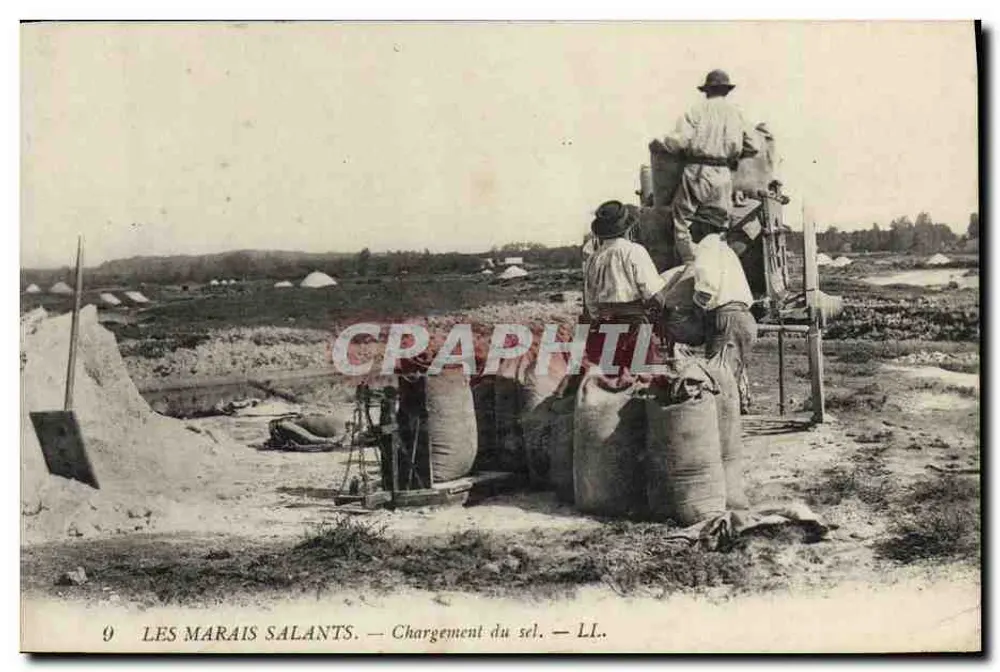 Os Marais Salants — Carregamento do sal — LL. - Frente