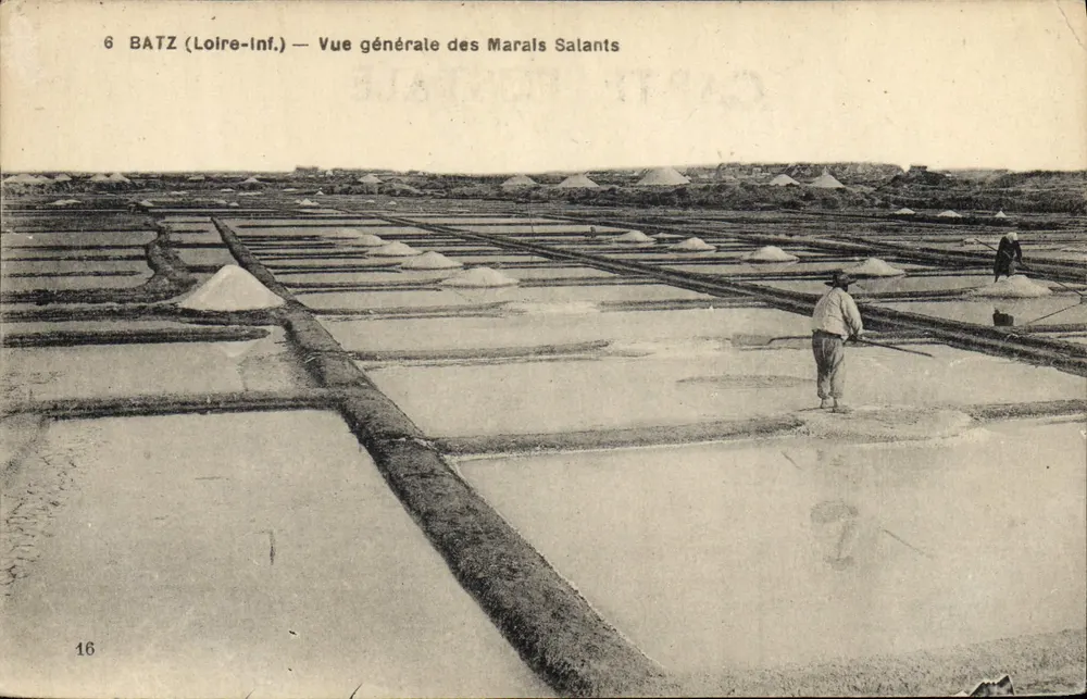 Batz (Loire-Inf.) — Vue générale des Marais Salants — F. Chapeau, éditeur Nantes, n° 16 - Frente