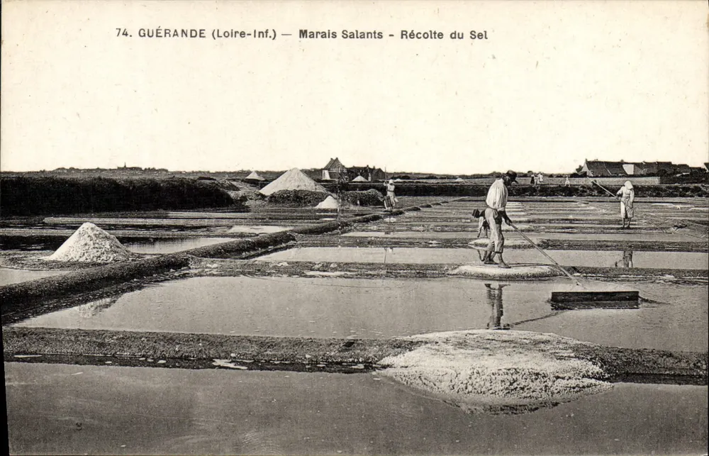 Guérande (Loire-Inf.) — Salzseen — Salzgewinnung - Vorderseite