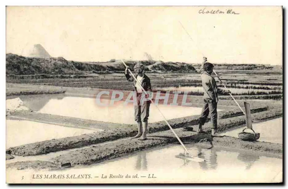Les Marais Salants — A Colheita do Sal — LL. - Frente