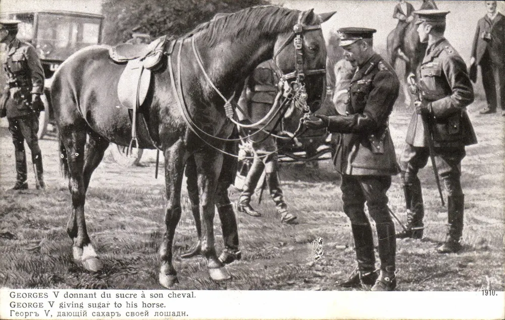 George V dando açúcar ao seu cavalo — Edição patriótica 1914, imp. L. Lartal - Paris - Frente