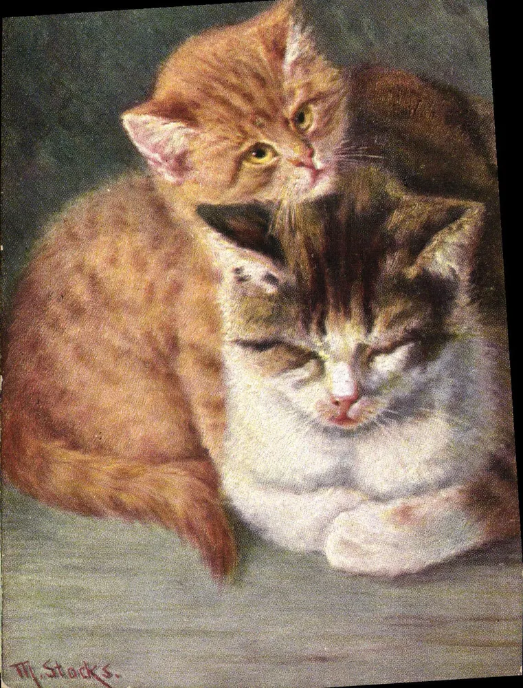 Dois gatos — pintura de Th. Stocks — série 1940, Kätzchen und Hunde, editor K. & B. D. - Frente