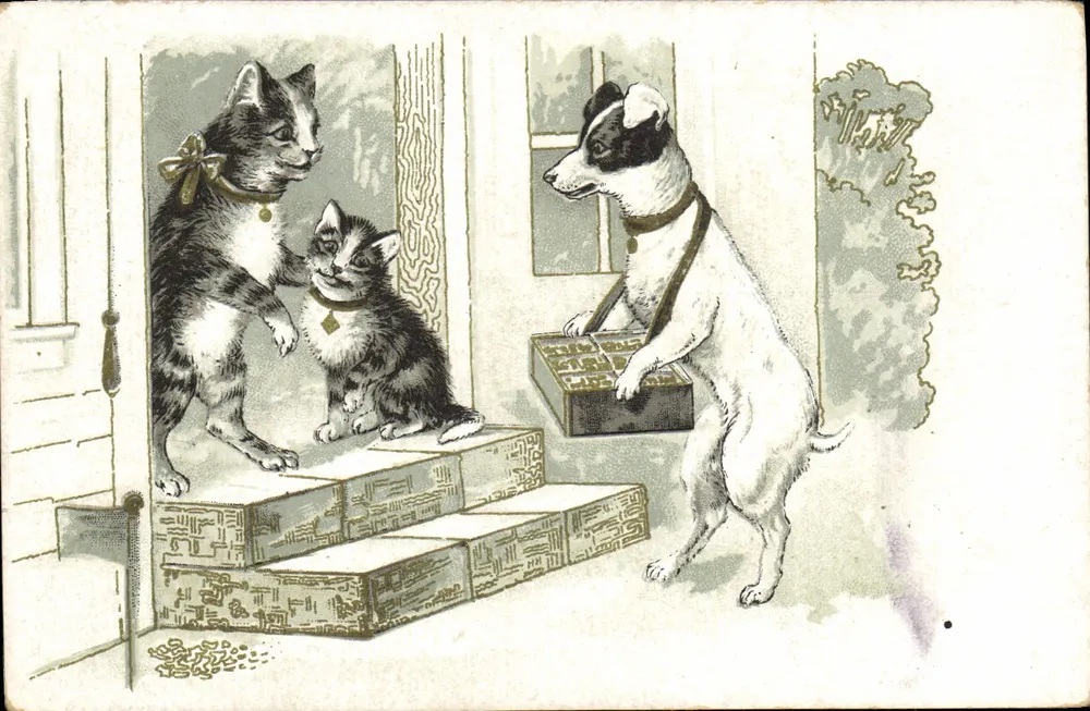 Cachorro e gato — cena de porta — editor não visível - Frente