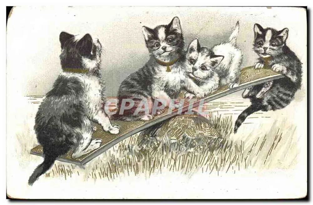 Cinco gatos filhotes em uma tábua — ilustração — editor não visível - Frente