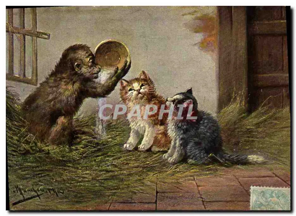 Chimpanzé e dois filhotes de gato — cena de vida — editor anônimo, número de série não visível - Frente