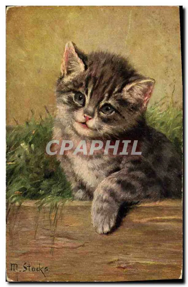 Gatinho tigre — pintura — M. Stocks, série 381 - Frente