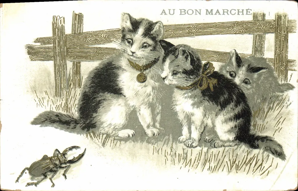 Drei Kätzchen und ein Insekt — Au Bon Marché — Maison Aristide Boucicaut - Vorderseite
