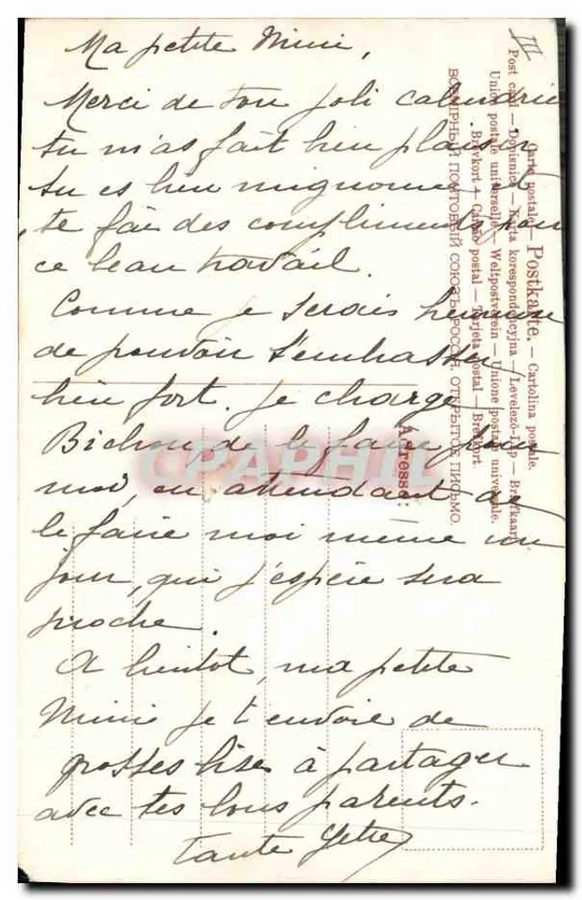 Cinco gatos filhotes em uma caixa — editor não identificado, número de série não visível - Verso