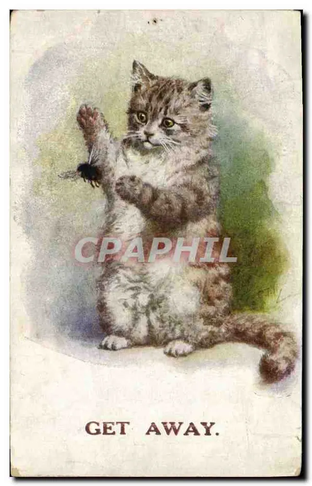 Gato brincando com um objeto — texto 'GET AWAY.' — J. Salmon, n° a1605 - Frente