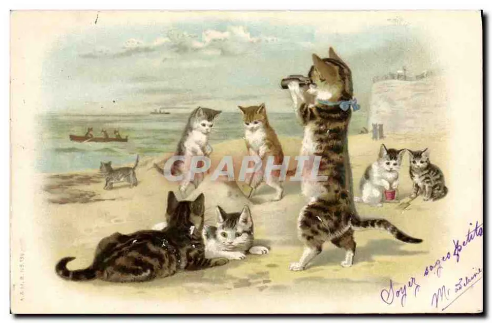 Gatos na praia — cena animada — editor não identificado, número de série não legível - Frente