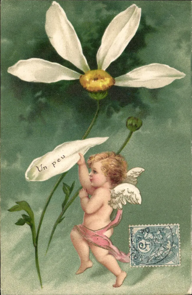 Cupido e flor de margarida — texto 'Um pouco' — editor não visível - Frente