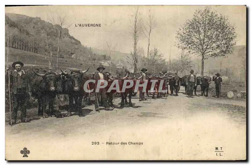 Auvergne — Rückkehr von den Feldern — M.T. n°293 - Vorderseite