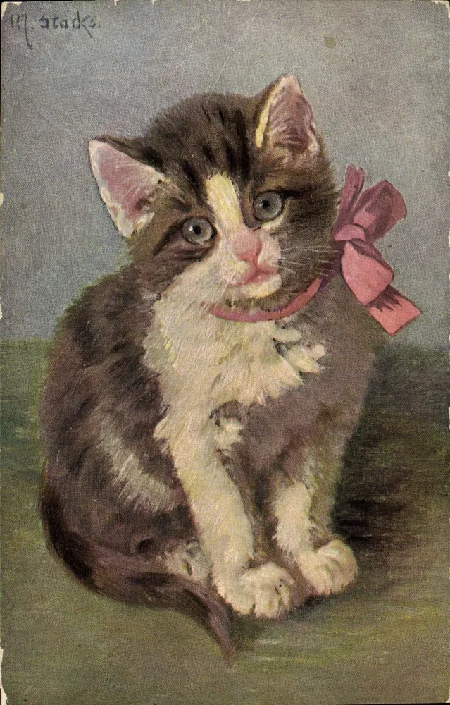 Gatinho com gravata rosa — ilustração assinada 'M. Stocks' — série 357 - Frente