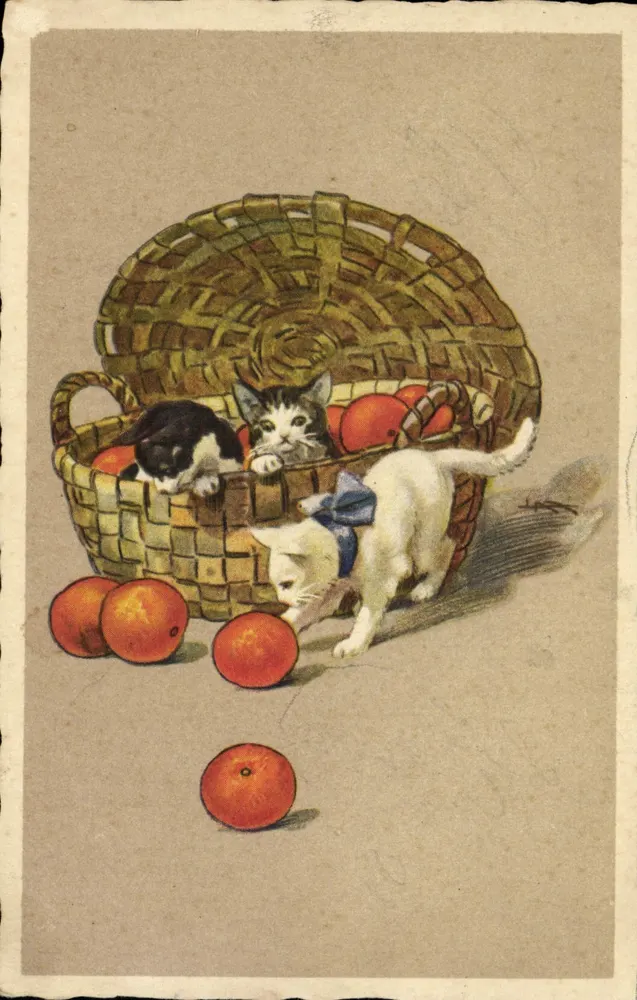 Três gatinhos em uma cesta de frutas — editor anônimo, n° de série 588-2 - Frente