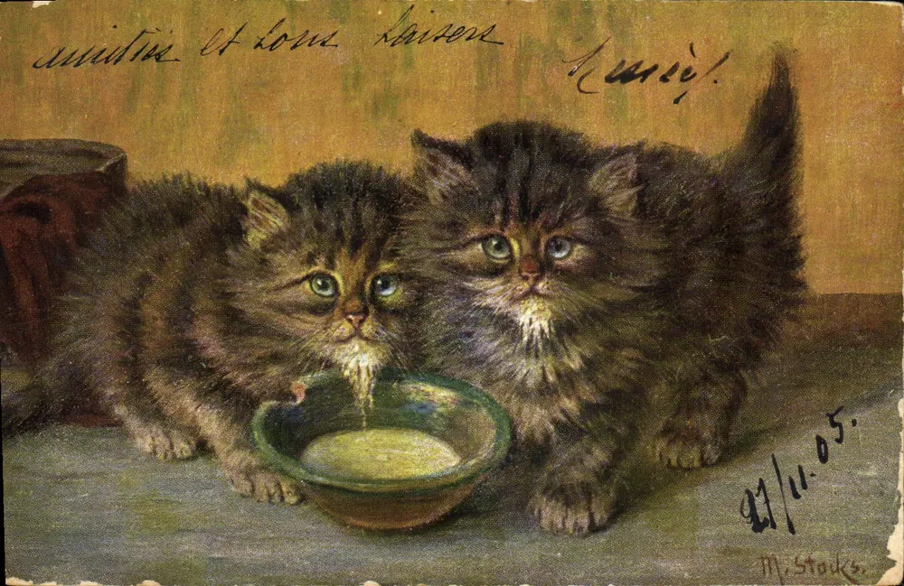 Deux chatons — scène de nourriture — éditeur M. Stocks, n° 211.05 - Frente