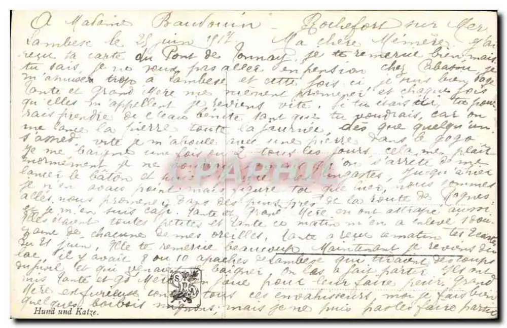 दो कुत्ते एक शोभायमान मेज के सामने — फ्रांसीसी स्कूल — ई.एम. सैमसन — अकाल — नंबर 34 - पीछे